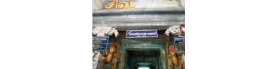 நாகை நீலதயாட்சி - தமிழ்நாடு